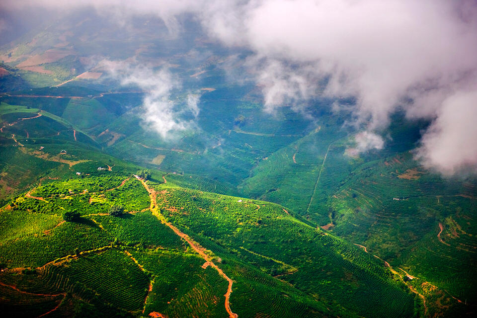 “咖啡书记”的脱贫致富经