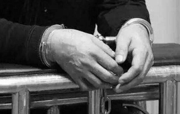 山东辱母杀人案 赛雅集团躺枪 品牌网成功灭火