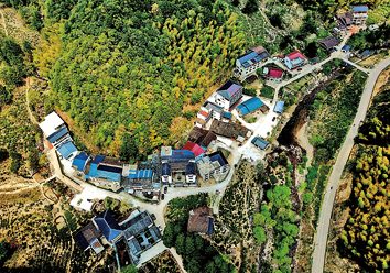 一片叶子,成就一个乡村