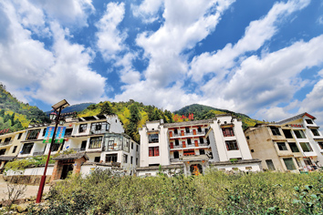 一片叶子,成就一个乡村