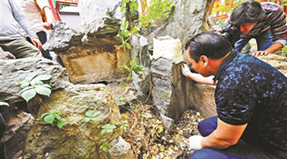 乾隆御笔&ldquo;熙春洞&rdquo;石匾额回归圆明园