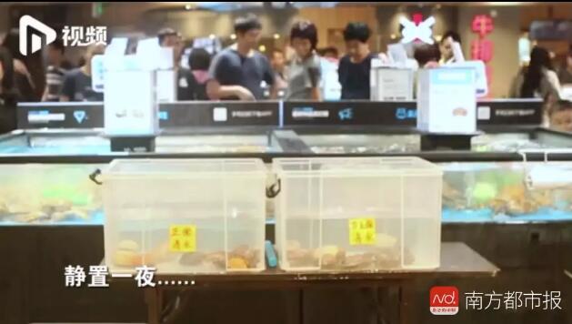 海鲜也能注水！最夸张可增重50%！如何避开“虚胖”海鲜？