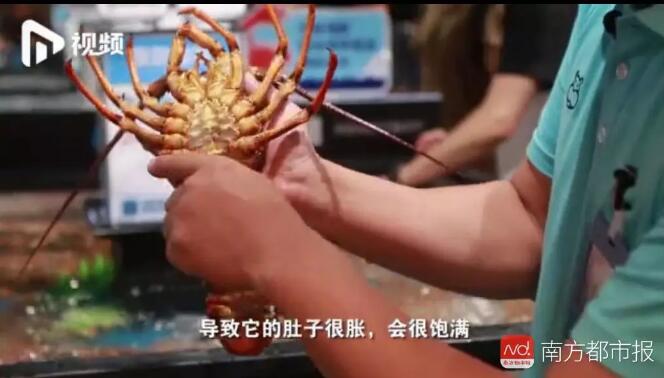 海鲜也能注水！最夸张可增重50%！如何避开“虚胖”海鲜？