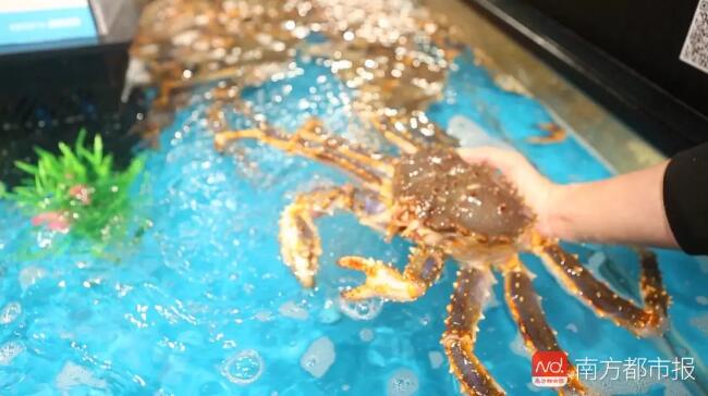 海鲜也能注水！最夸张可增重50%！如何避开“虚胖”海鲜？