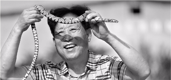 探秘&ldquo;中国第一蛇村&rdquo;：几百村民养300万条蛇