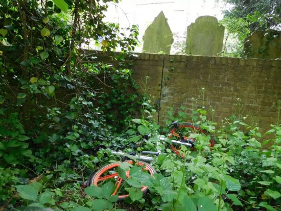 ofo小黄车和摩拜在英国屡遭损毁