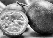 云南昭通马脑村：百亩百香果产值三百万