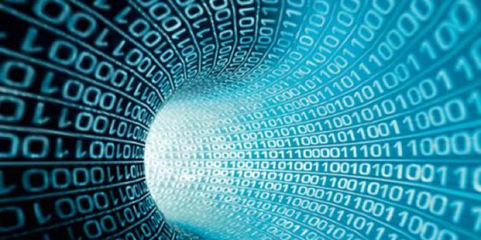 小米八年进击：迎&ldquo;双线&rdquo;作战大考