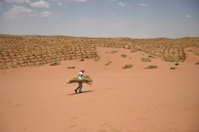 荒漠化治理的&ldquo;中国智慧&rdquo;