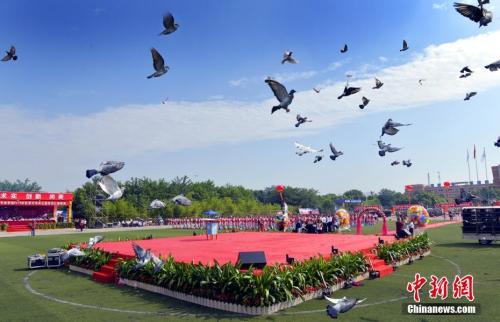 各地高考成绩今起陆续公布 高校招录有啥新变化?