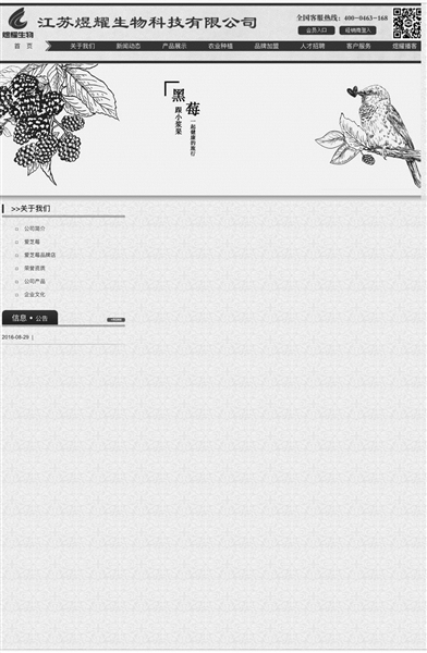 穿上抗癌“马甲”疯狂传销 “黑莓酒”骗局一年骗了8亿元