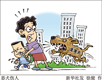 养时容易弃时随意,流浪犬伤人谁来管