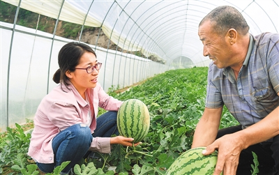 回乡大学生当选村支书