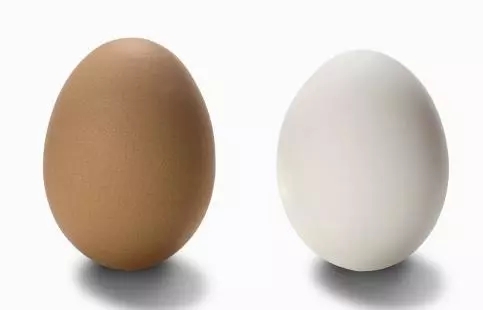 【科普】20个最常见的“饮食误区”,史上最全整理!你中了几个?