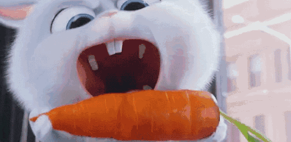 【科普】20个最常见的“饮食误区”,史上最全整理!你中了几个?