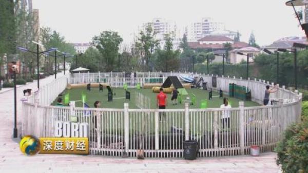 “萌宠经济”大爆发 一个千亿级的大市场悄然崛起