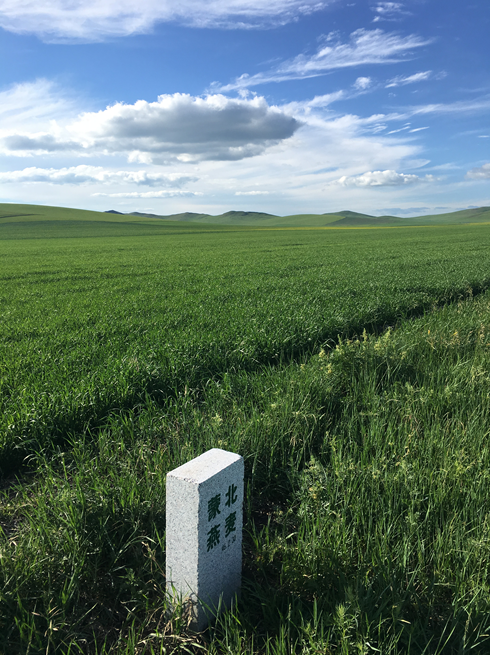 “中国天然燕麦第一人”李刚岭耗时七年打造出纯天然蒙北燕麦