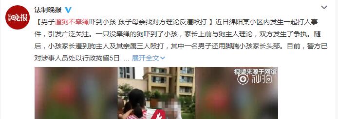 &ldquo;蛮横养狗&rdquo;如何破? 要惩处更要补好文明课