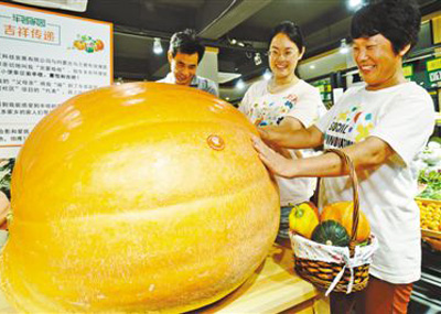 大南瓜 助脱贫