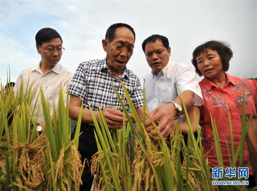 “心有大我,至诚报国”——知识分子的时代答卷