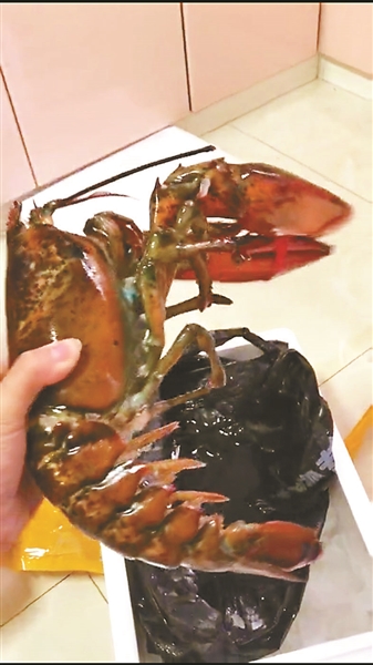 大连买海鲜遭掉包 吉林游客千里维权获8000元赔偿