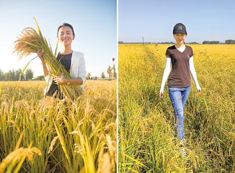 爱红妆　更恋稻香