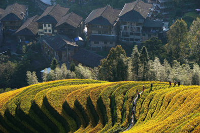 &ldquo;丰收游&rdquo;成黄金周旅游新燃点 