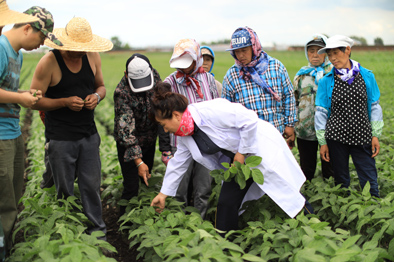 &ldquo;金豆娘娘&rdquo;:伴豆一生,为中国大豆&ldquo;争气&rdquo;