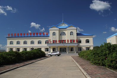 “金豆娘娘”:伴豆一生,为中国大豆“争气”