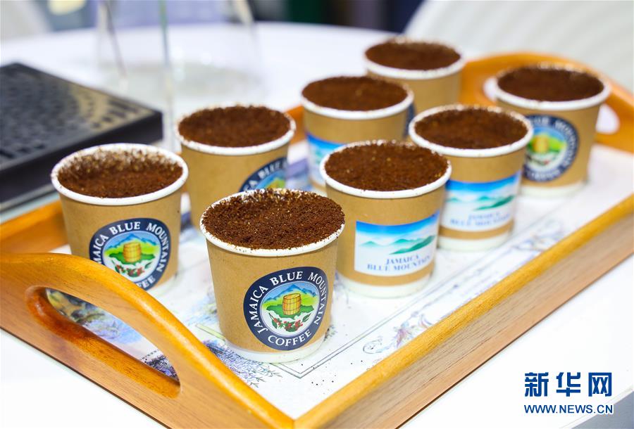 习近平主席出席首届中国国际进口博览会纪实