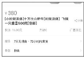 飞鼠成“新晋网红” 背后黑色猎售利益链曝光