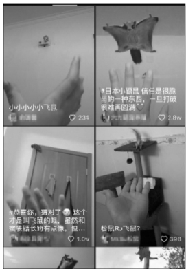 飞鼠成“新晋网红” 背后黑色猎售利益链曝光