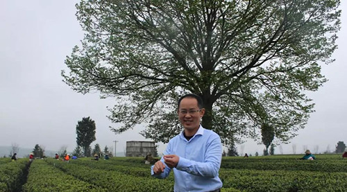 周宇：茶叶代工厂到万亿茶企的掌舵人