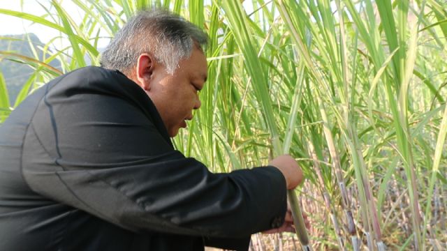 “80后白发书记”李忠凯:不怕累,就怕不被理解