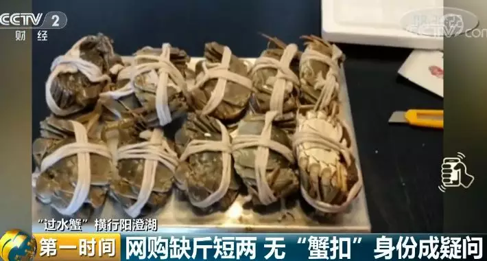 阳澄湖大闸蟹网红店:一年卖几十万件 没有一件是真的