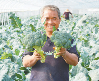 充实&ldquo;菜篮子&rdquo; 经营&ldquo;老院子&rdquo;