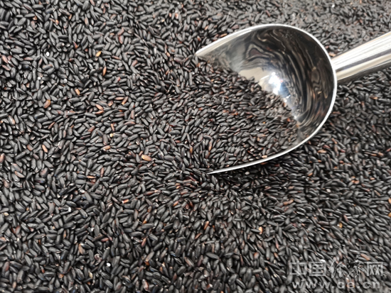 冬季不“盲补” 这8种食物最适合进补