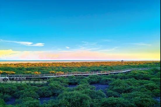 习近平和广西的约定