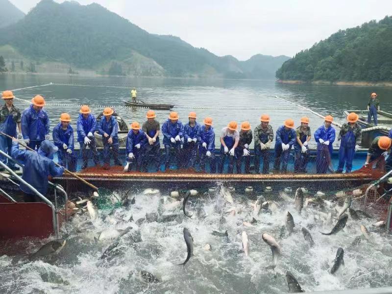 旺顺阁荣幸参与商务部“中国之造”