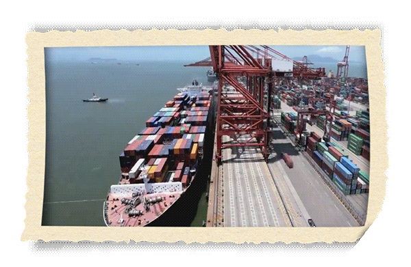 习近平的改革足迹——上海