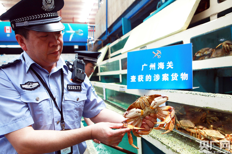 广州海关破获两起通过跨境电商方式走私奶粉、海鲜案