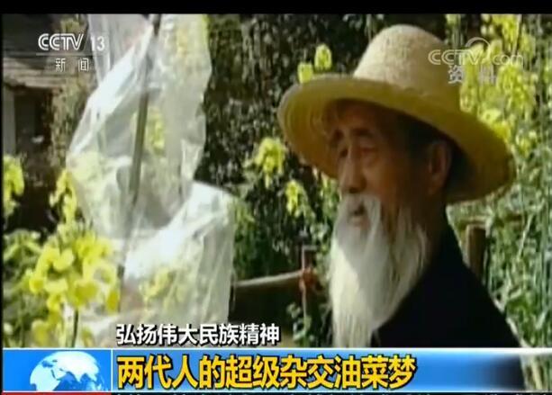 弘扬伟大民族精神 两代人的超级杂交油菜梦
