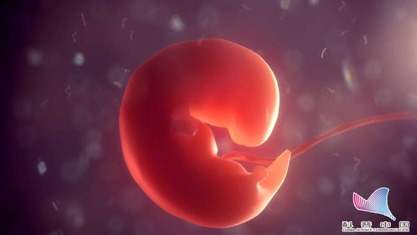 2018年终盘点：科技改变生活的N种可能