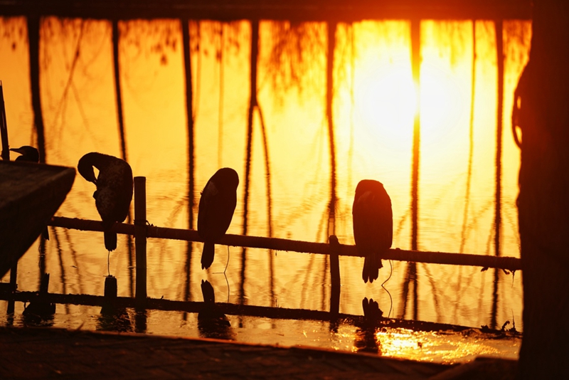 国务院批复同意河北雄安新区总体规划