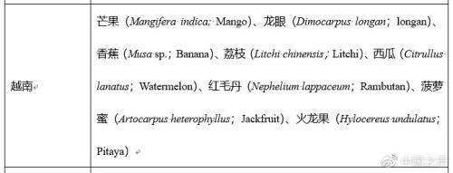"进口水果"价高无证:980元一串日本青提产自云南