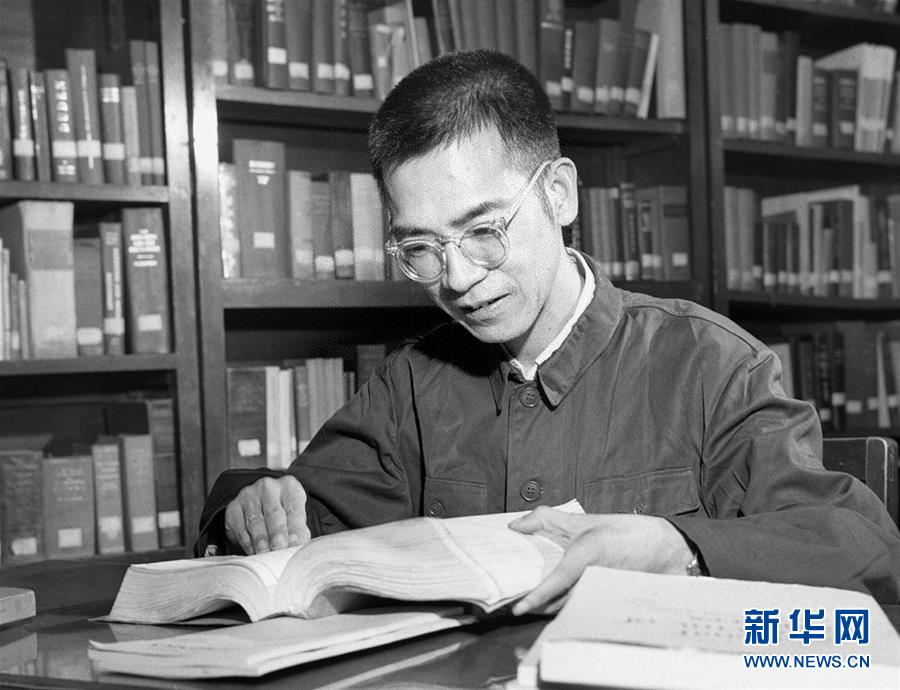 陈景润：激励青年勇攀科学高峰的典范