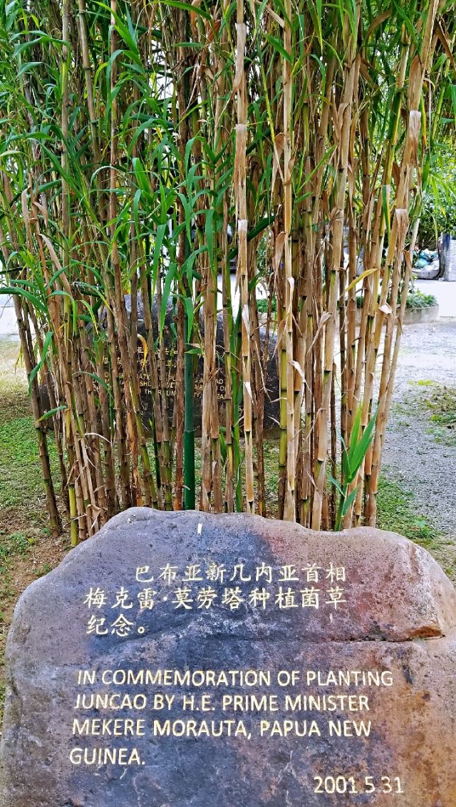 2018年,习近平的这些暖心瞬间