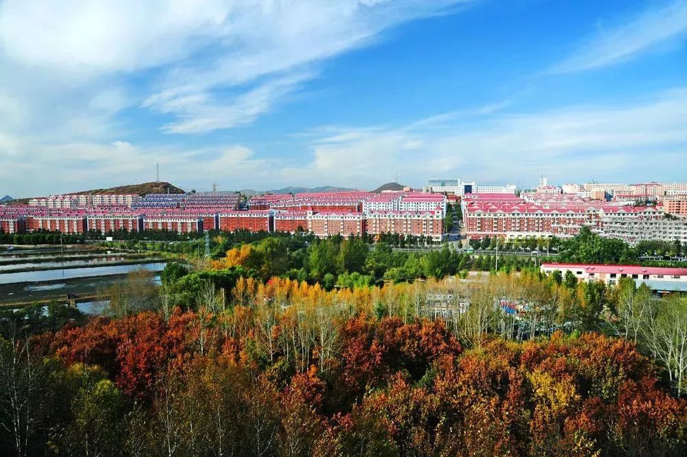 民营经济缘何成为&ldquo;立市经济&rdquo;