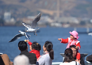国人春节哪儿过?大数据告诉你