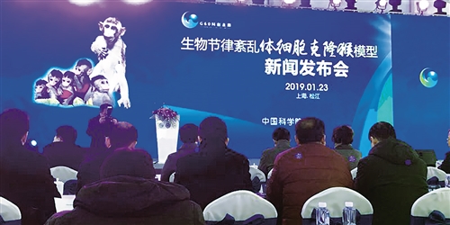 克隆猴家族又添新成员